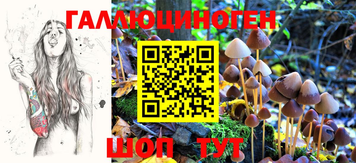 Галлюциногенные грибы MAGIC MUSHROOMS Чебаркуль