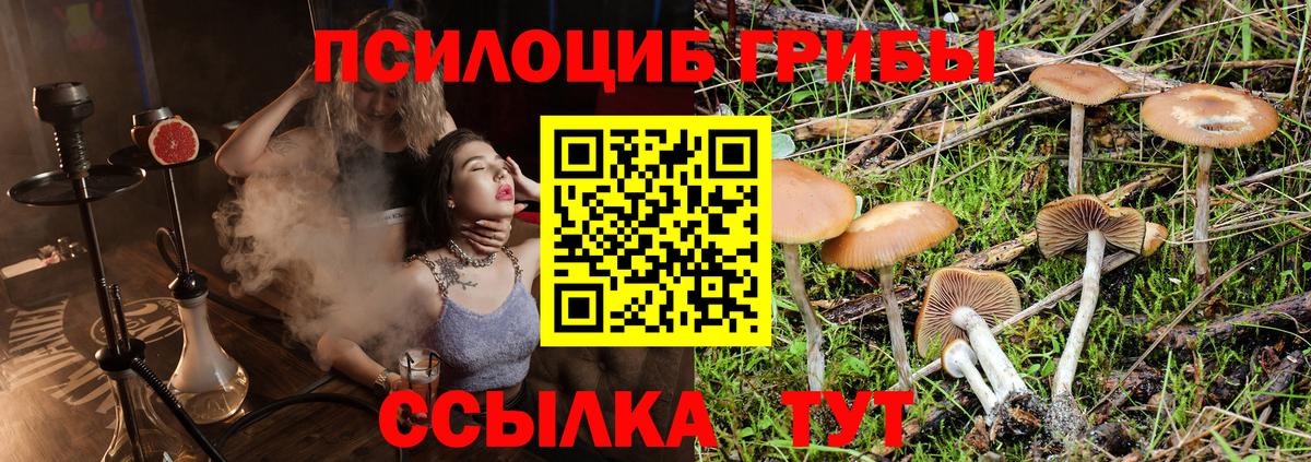 Галлюциногенные грибы GOLDEN TEACHER  Вход с VPN  Галлюциногенные грибы мухоморы  Чебаркуль 